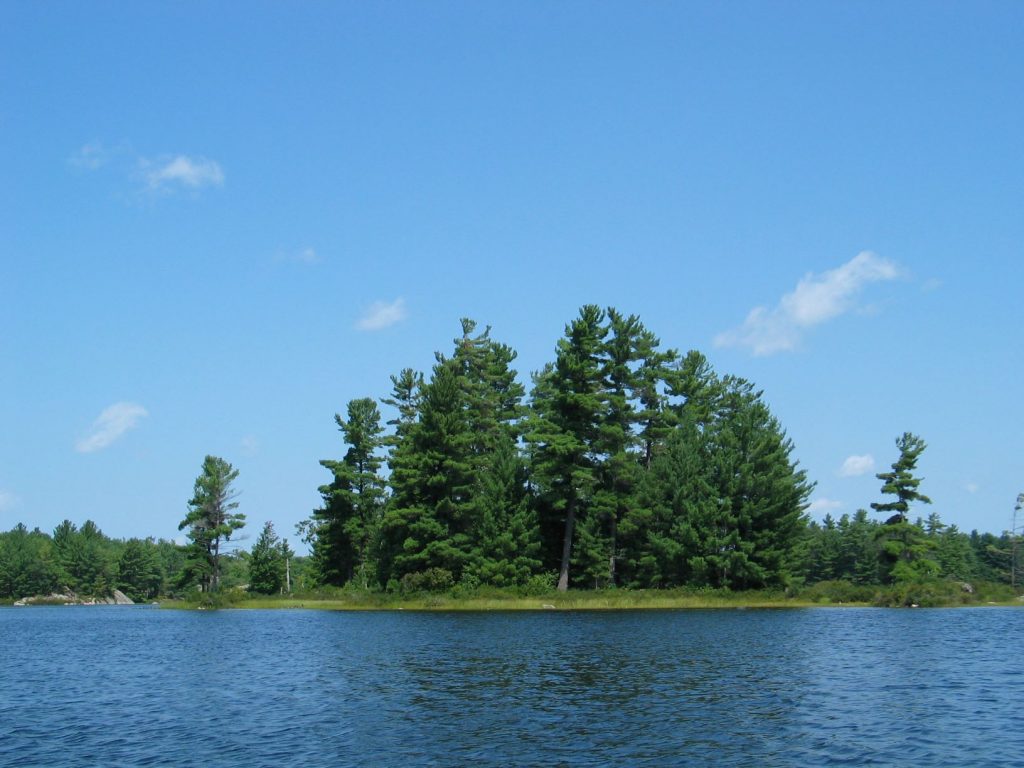 picture of trees and a lake with blue skies, taken while backcountry camping at Kawartha Highlands Provincial Park
