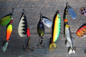 picture of the best fishing lures to take camping