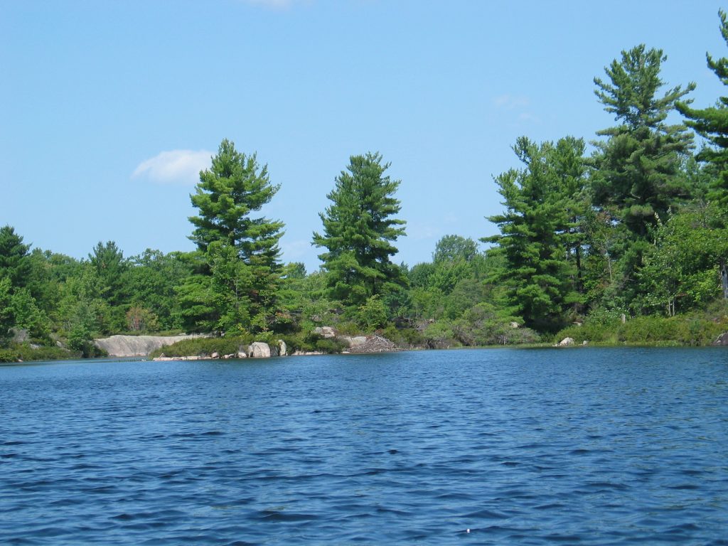 picture of the view from the canoe while backcountry camping at Kawartha Highlands Provincial Park