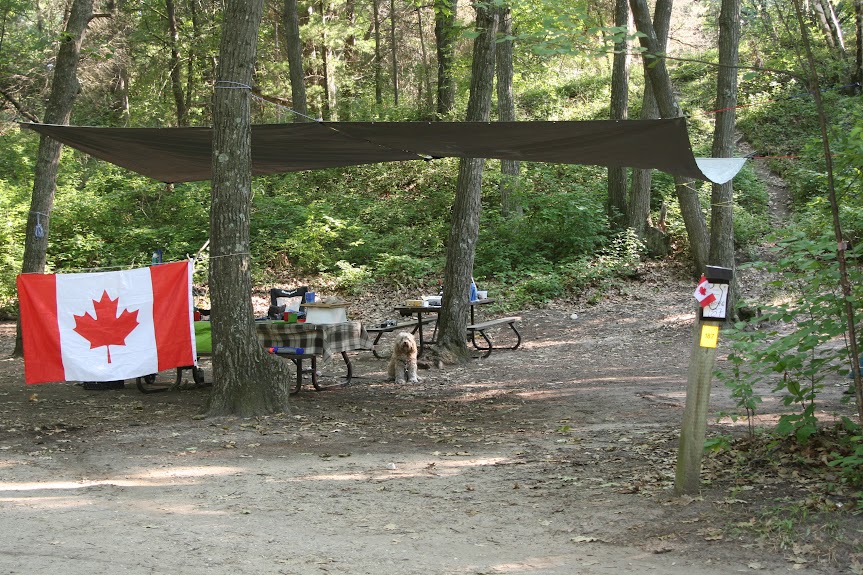 picture of a dog camping at pinery provincial park in the campsite near the picnic table