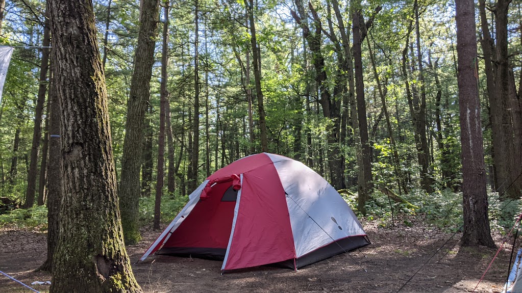 picture of our Eureka tent in our campsite at Turkey Point Provincial Park