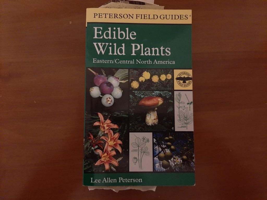 picture of a book about edible wild plants for foraging for food while camping