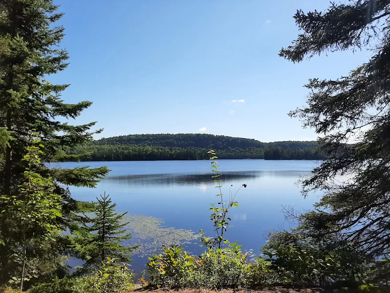 picture of lake of two rivers in Algonquin Provincial Park Ontario