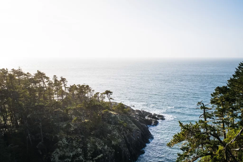 picture of the pacific ocean from vancouver island on the west coast trail of British Columbia, Canada.  